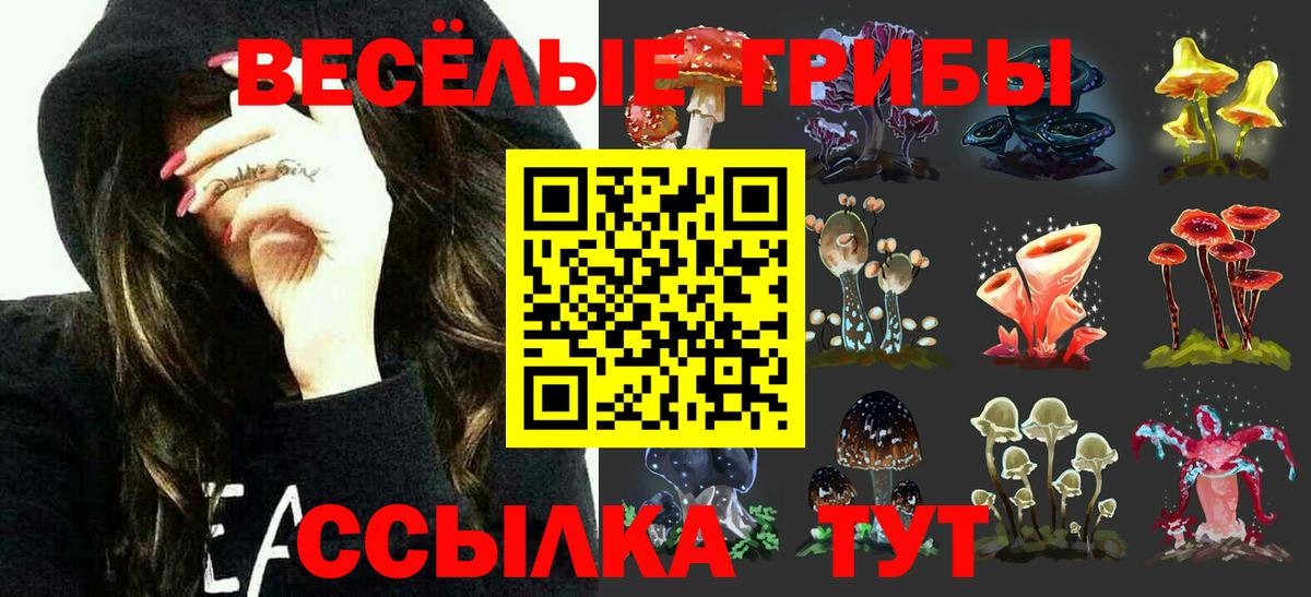 Псилоцибиновые грибы ЛСД Белгород