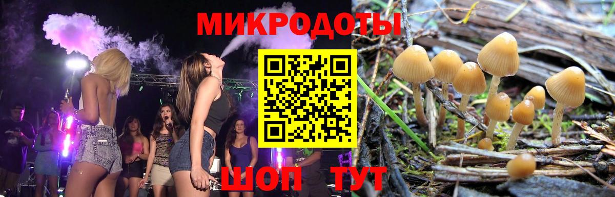 Галлюциногенные грибы Psilocybine cubensis  Вход с VPN  Белгород 